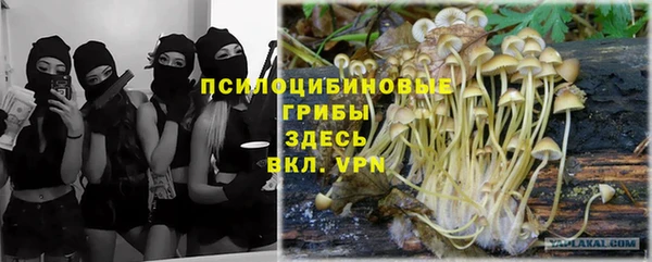 гидропоника Алзамай